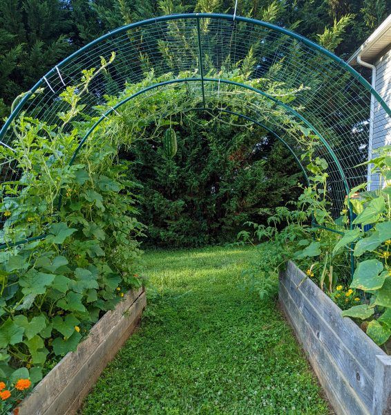 TRELLIS PANELS TUNNEL