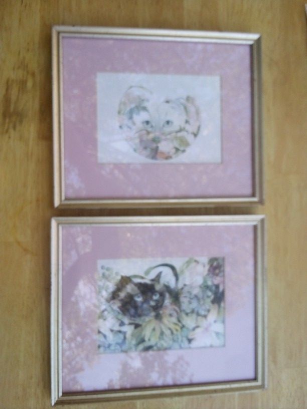 CUTE CAT PICS WITH ORGINAL ANTIQUE FRAMES!