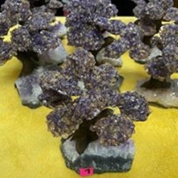 New, Firm, Choice, 10 Pod Ametrine Gemstone Tree on a Gemstone Base
