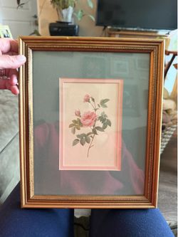 Vintage French Framed   “Les Roses” Print by Pierre Joseph Redoute’