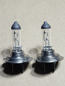 H7 Halogen Bulbs