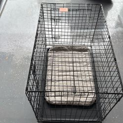 Dog Crate With Pad