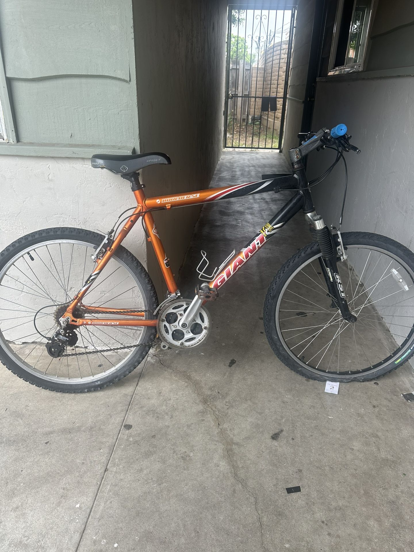 Giant mountain bike