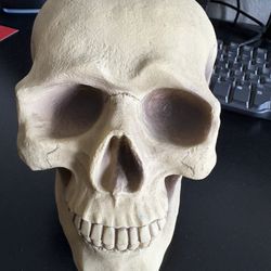 Skull Piggy Bank