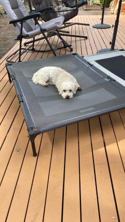Dog Cot 