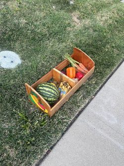 Fruits/Veggie Holder