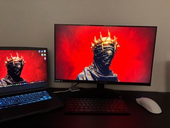 Gaming monitor