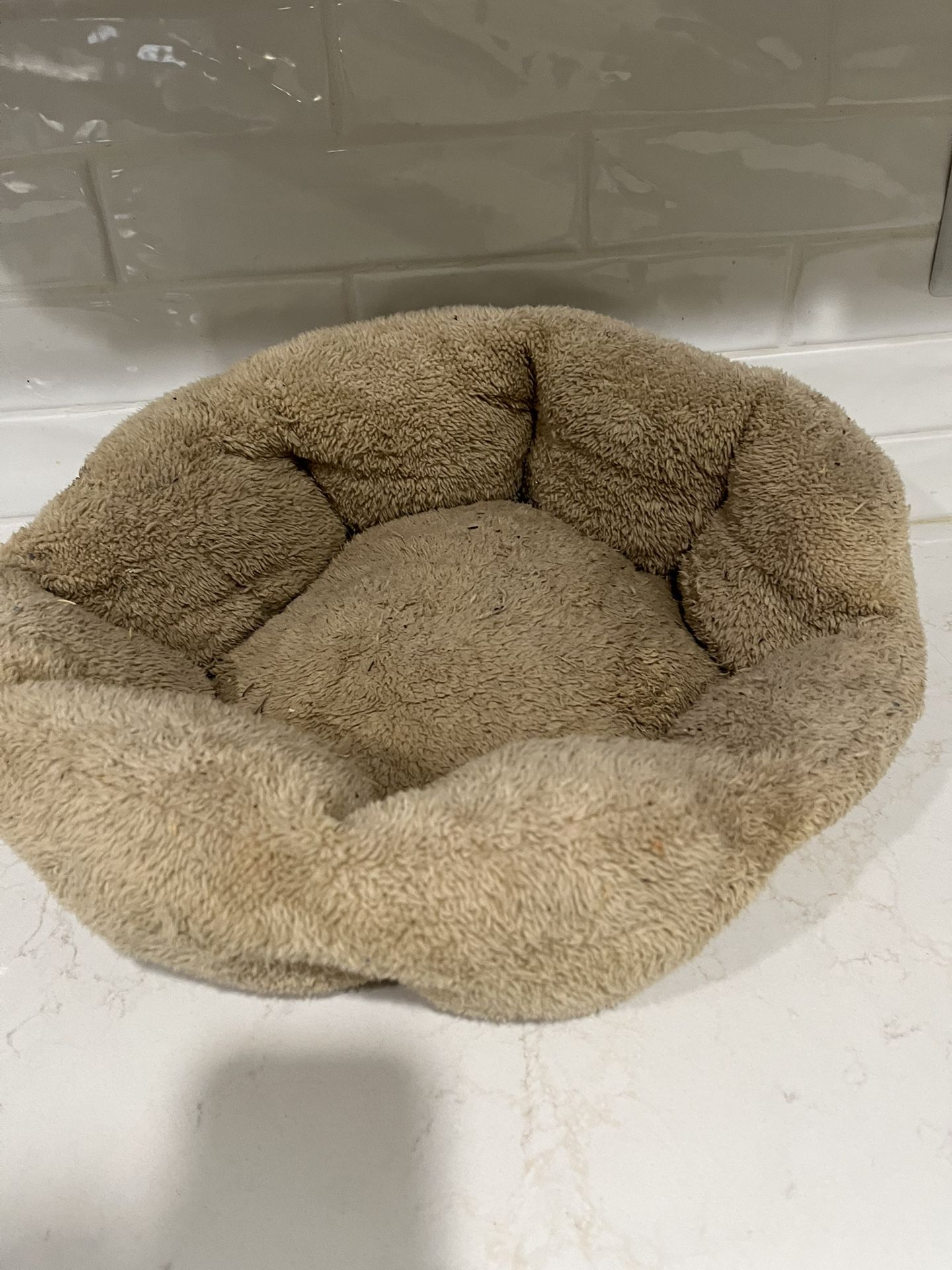 Cat Bed