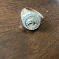 Gorse Shoe Signet Men’s Ring 