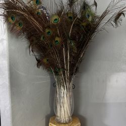 Large Vase With Several Peacock Feathers