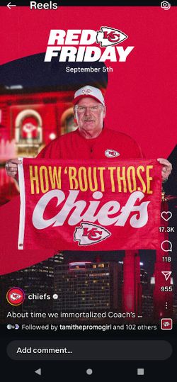 Chiefs Flag