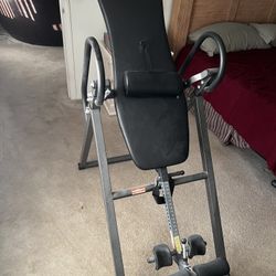 Fitness Reality Inversion Table