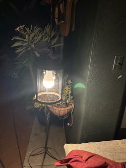 Backyard porch light