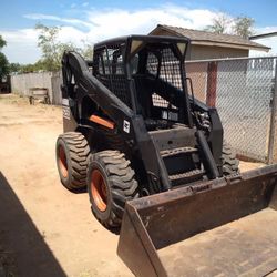 Bobcat Grading