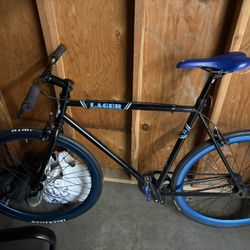 SE Lager Bike