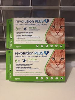 Revolution Plus For Cats