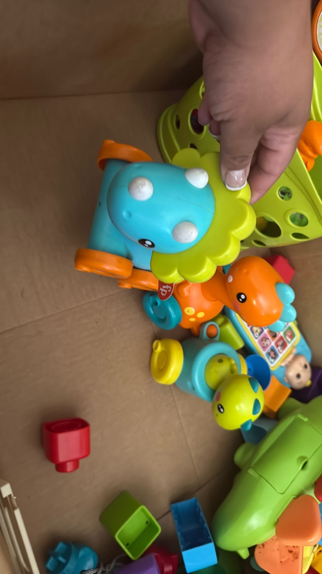 Dino Train