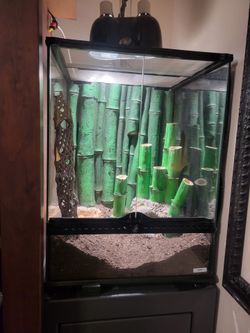 Exoterra front aquarium
