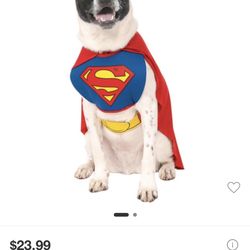 XL Rubies Superman Dog Costume
