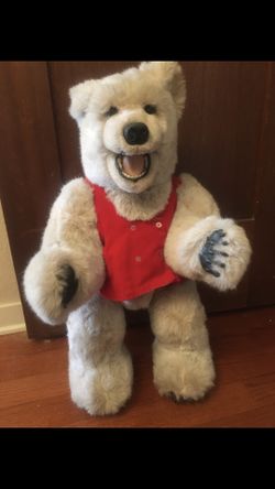 Beaver Valley Young Polar Bear