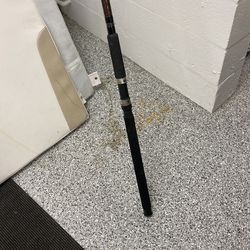 10ft Fishing Pole