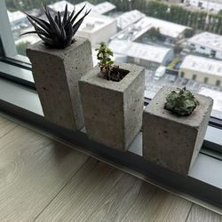 Succulents with Planters 