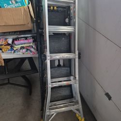 Gorilla Ladder 