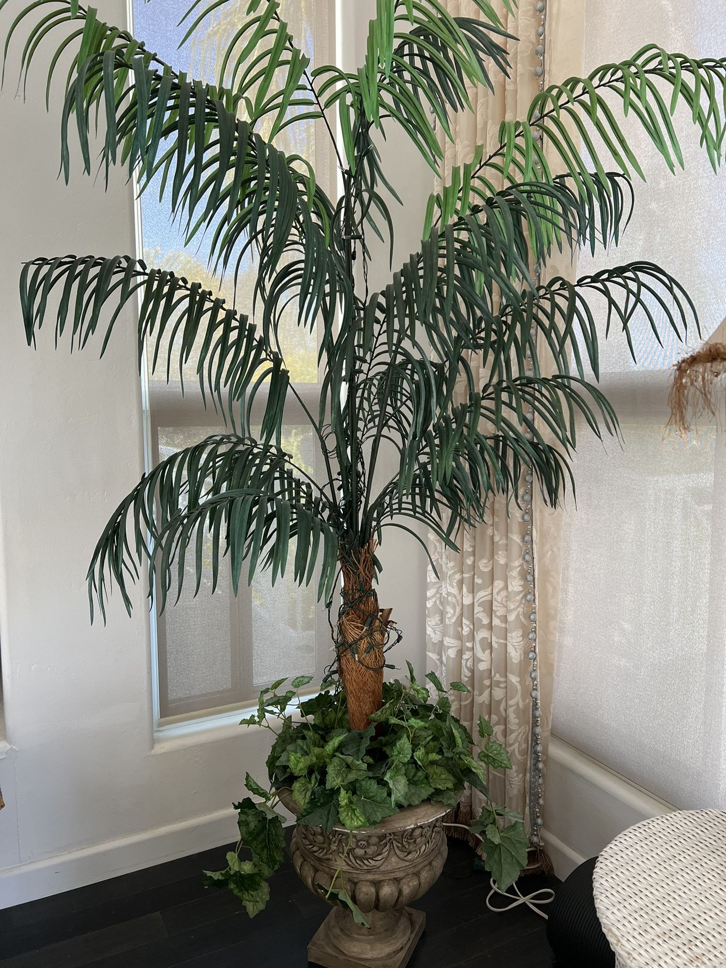 Display Plant