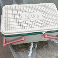 Igloo cooler