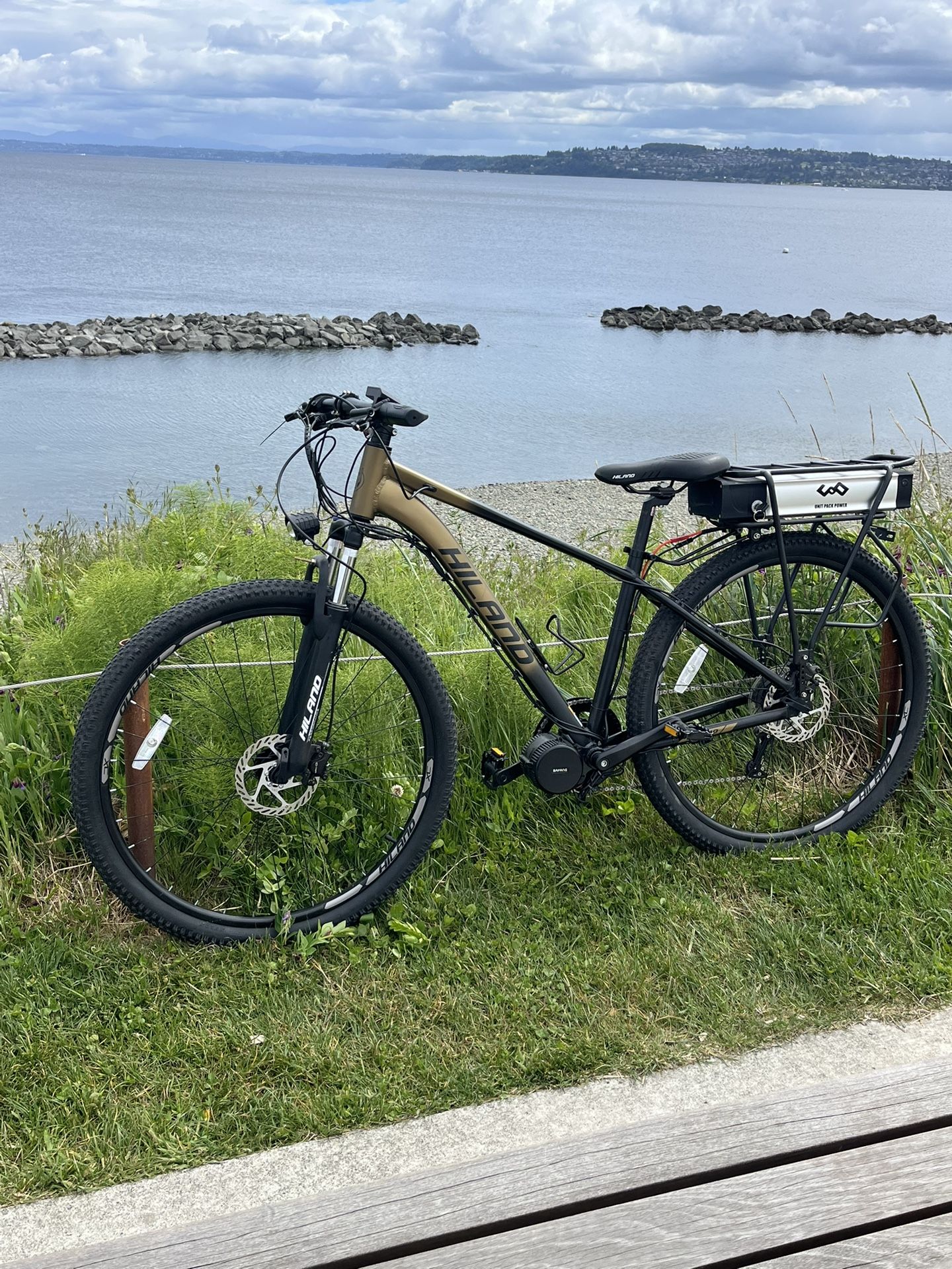 Ebike 29” Tire - 1000 W Bafang Mid Drive