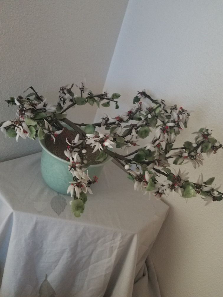 Real white/green jade tree