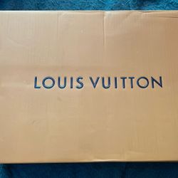 Louie Vuitton Trainer Low Size 11 Denim