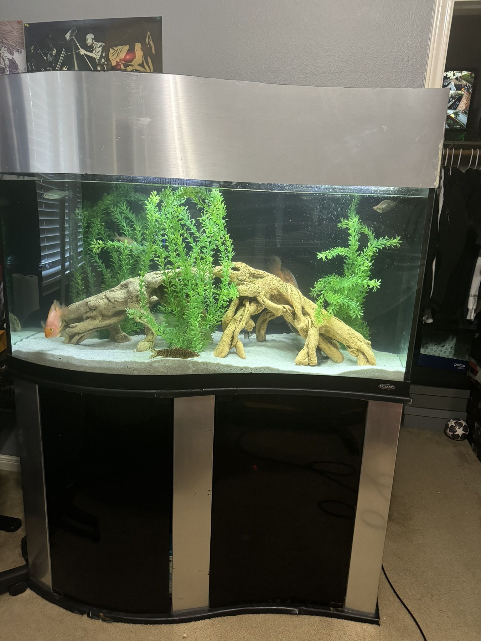 Fish Tank 100 Gallon 