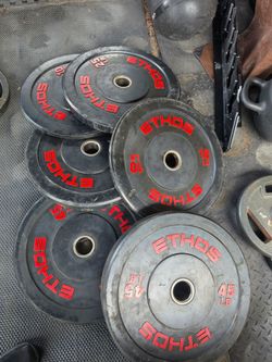 Weight Bumper Plates