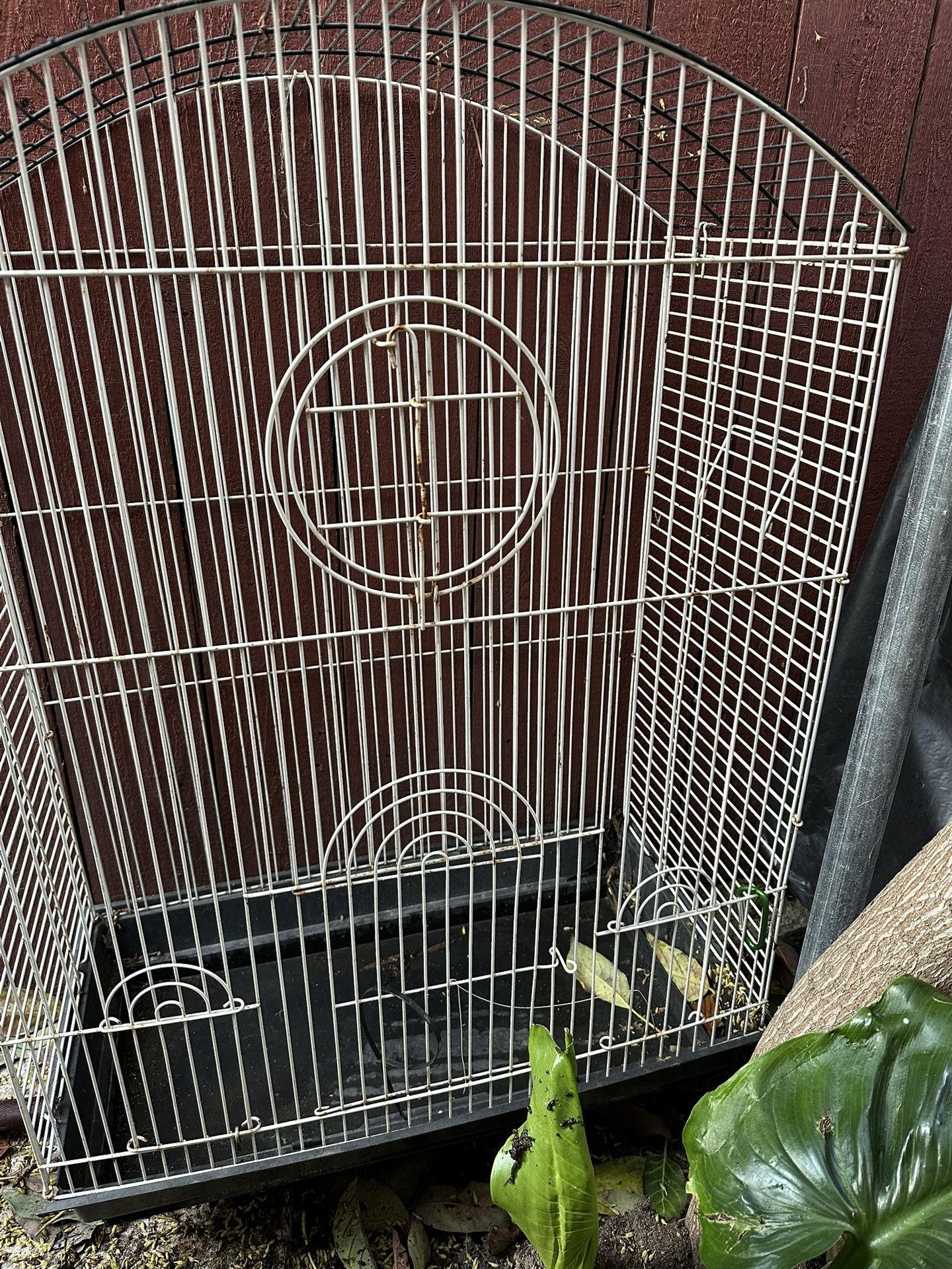Cage For Birds