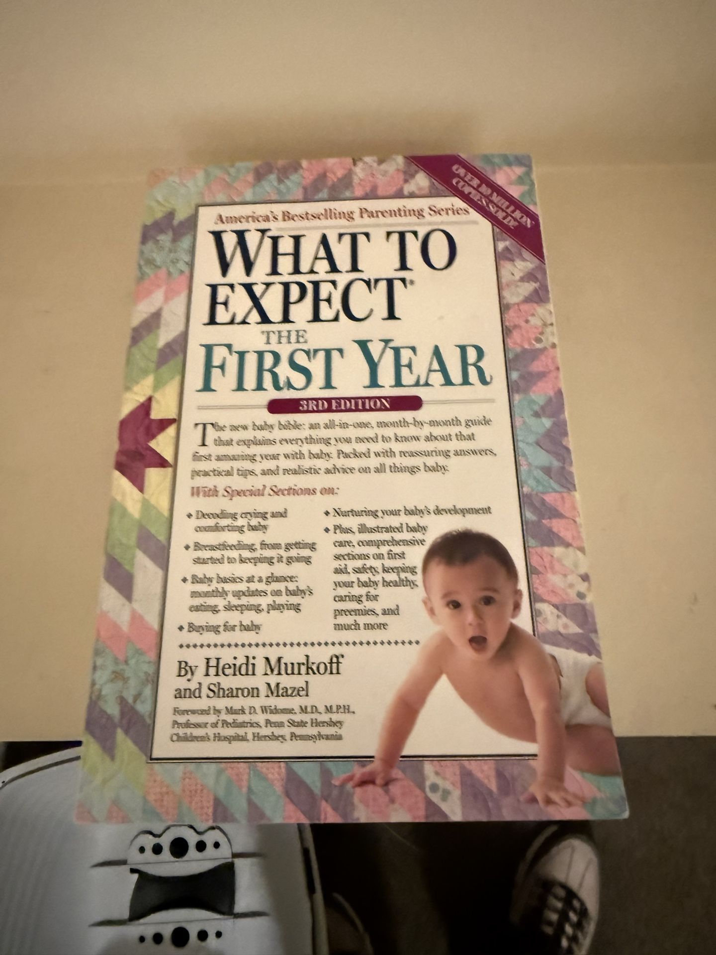 What To Expect 1st Year book New