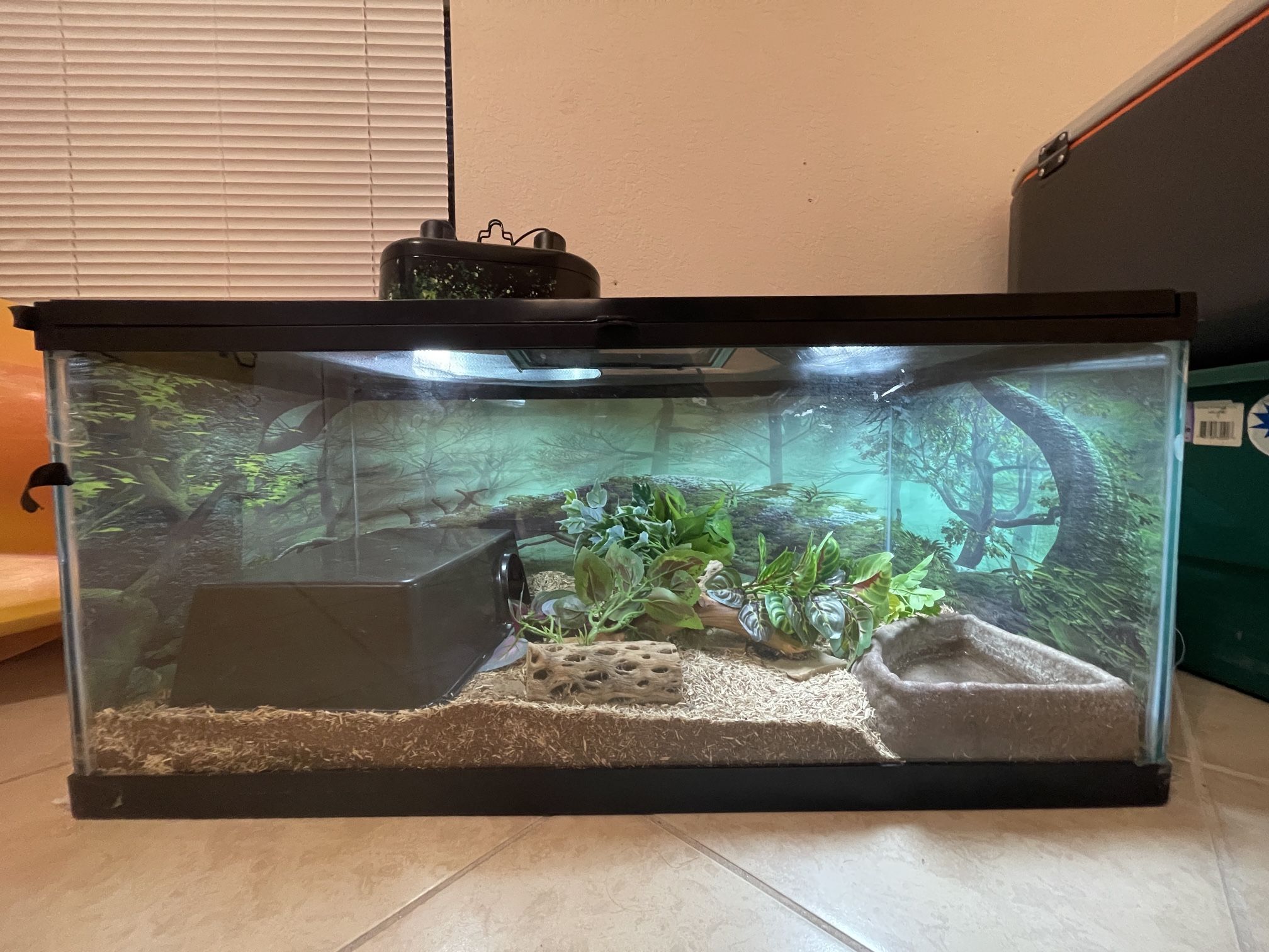 40 Gallon Enclosure