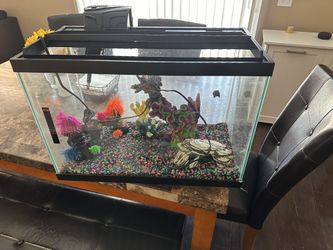 20 Gallon Fish Tank with Accessories and Decorations for Sale in Chula  Vista, CA - OfferUp