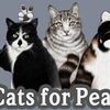 🌵Cats For Peace