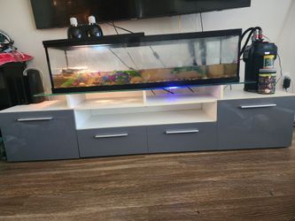 Fish tank 40 gallons