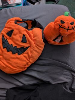 Jack o Lantern 🎃 Costume for Dog or Cat