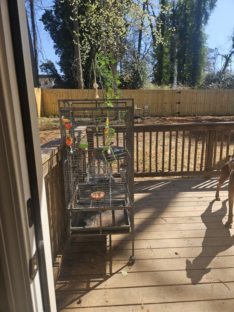 Bird Cage