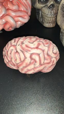 Fake Human Brain Halloween Prop