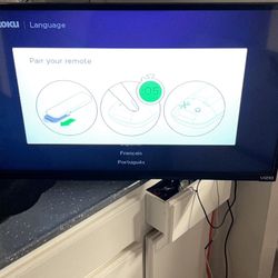 Flat Screen Television 