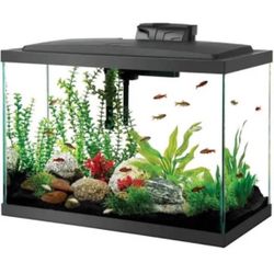 NEW fish tank 