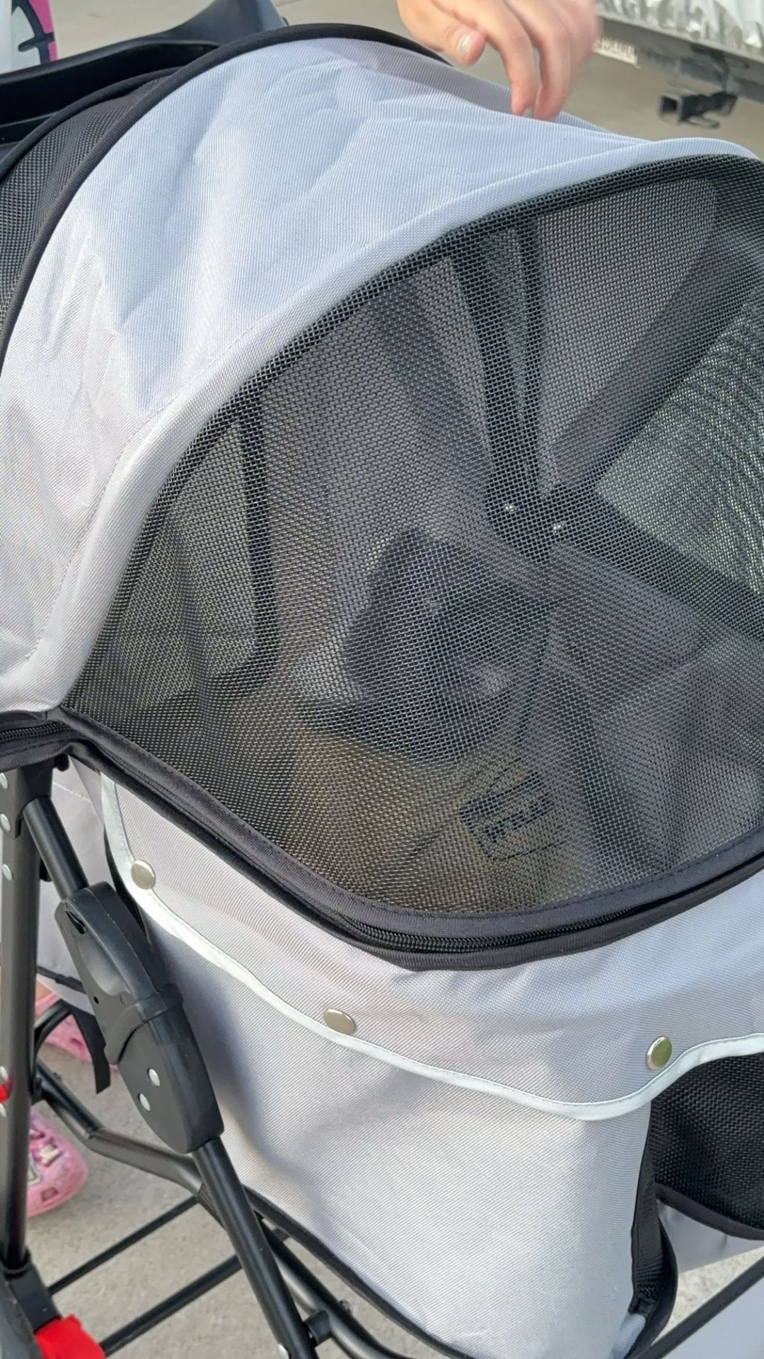 Dog/Cat Stroller
