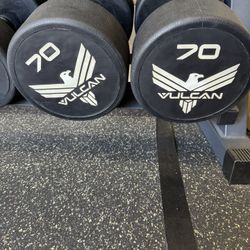 Vulcan Strength Dumbbell 70#