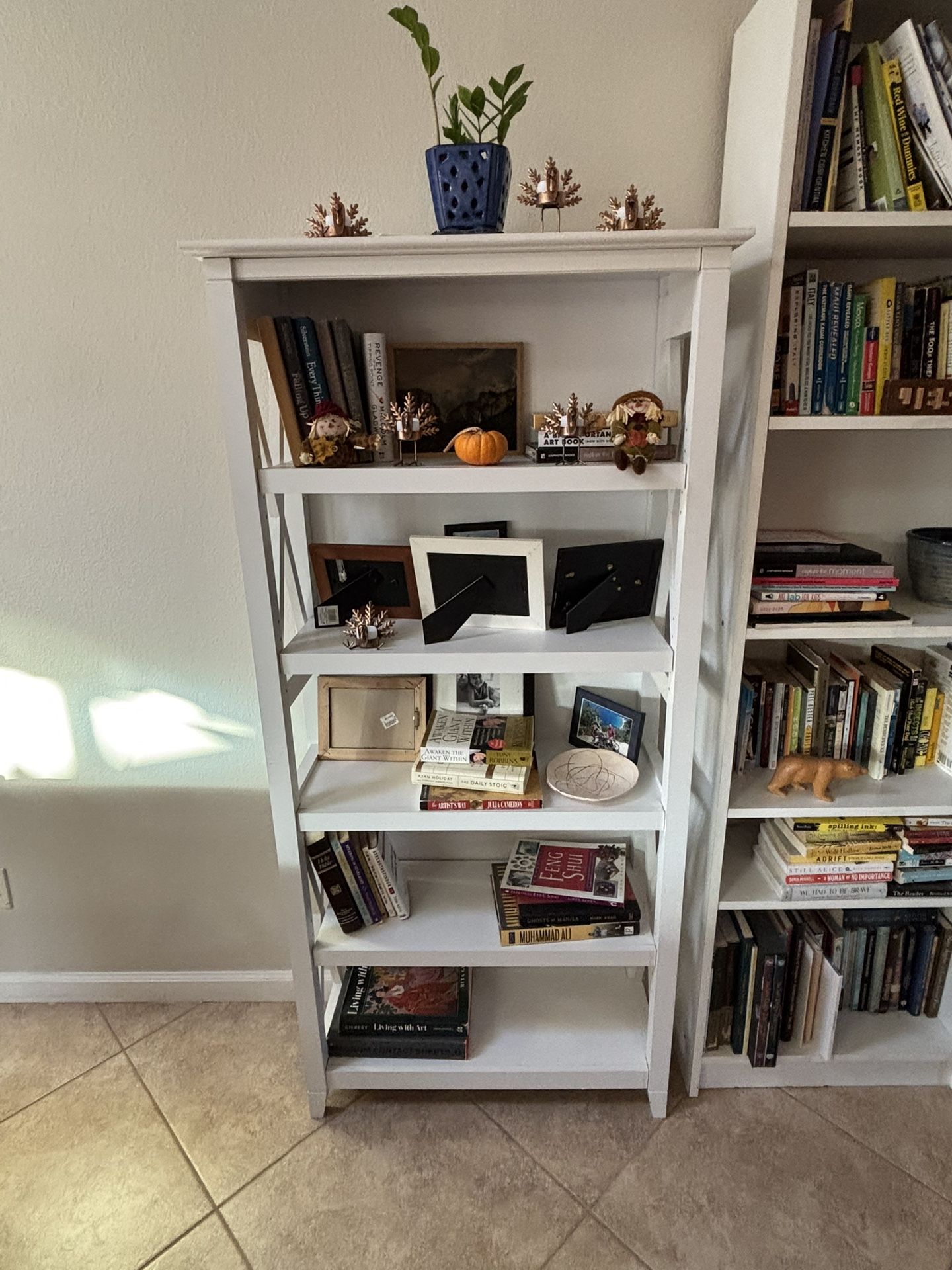 Cute Bookshelf (white)