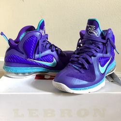 Lebron 9 Hornets, Size 9.5