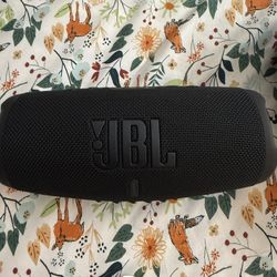 JBL CHARGE 5 WIFI SE